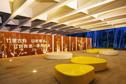 桥下灰空间巧变社区靓风景，氛围投影灯点亮生活新美学