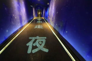 时光隧道里的光影交响 宝成铁路文化体验馆的氛围投影灯